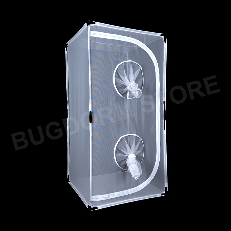 BugDorm-4E4590 Insect Rearing Cage