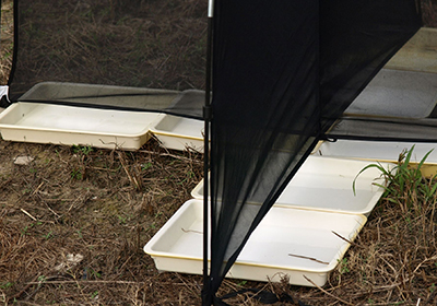 Tray setup beneath intercept panel for window trap collection