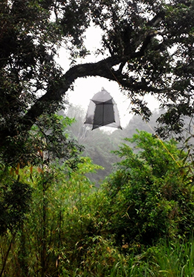SLAM trap suspended in the forest canopy with overhead rigging for aerial interception