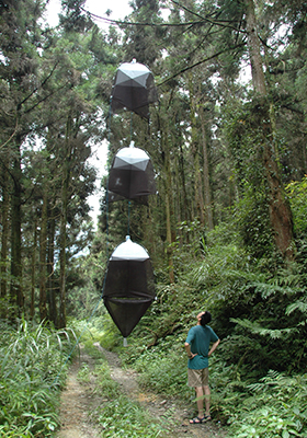SLAM traps daisy-chained vertically for stratified canopy-to-ground sampling