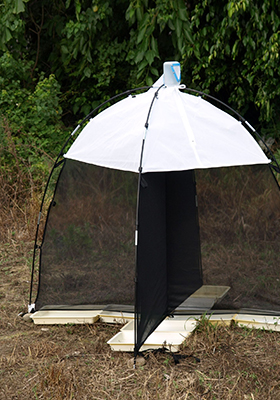 SLAM trap configured as a window trap with preservative trays or ground cloths beneath the intercept panel to collect fallen insects