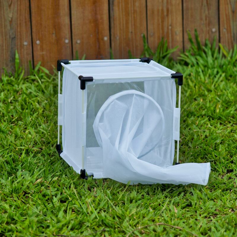 BugDorm4S2222 Insect Rearing Cage BugDorm Store