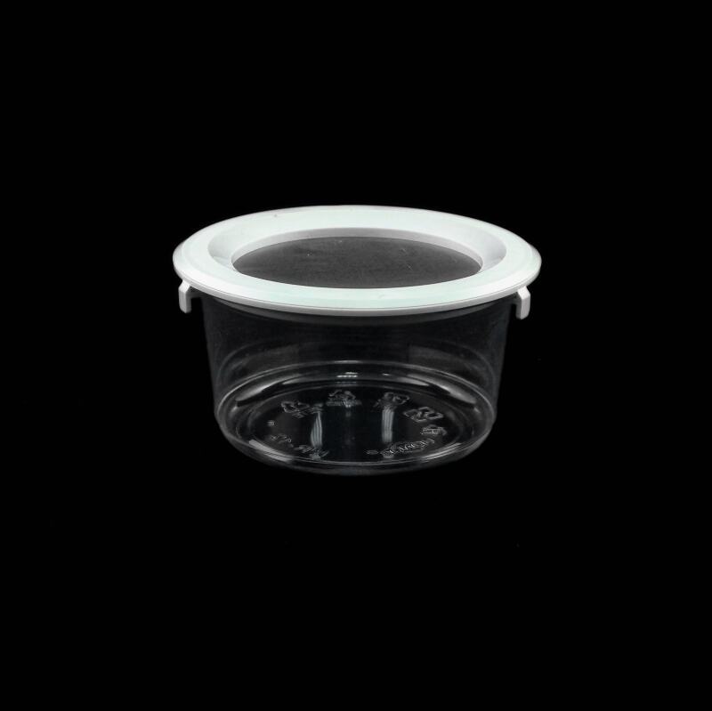 Pint-sized Insect Pot with Snap-on Lid (360ml, mesh screen) [pack of 6]