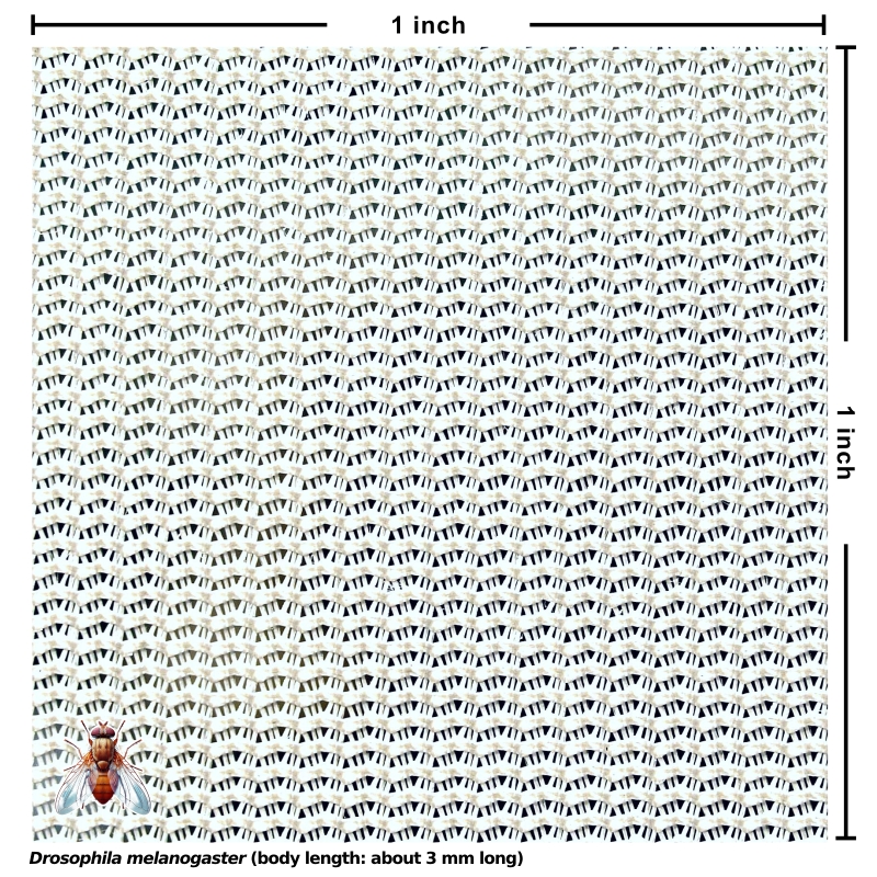 Polyester Netting (white, 108x32 mesh) [4 yards]