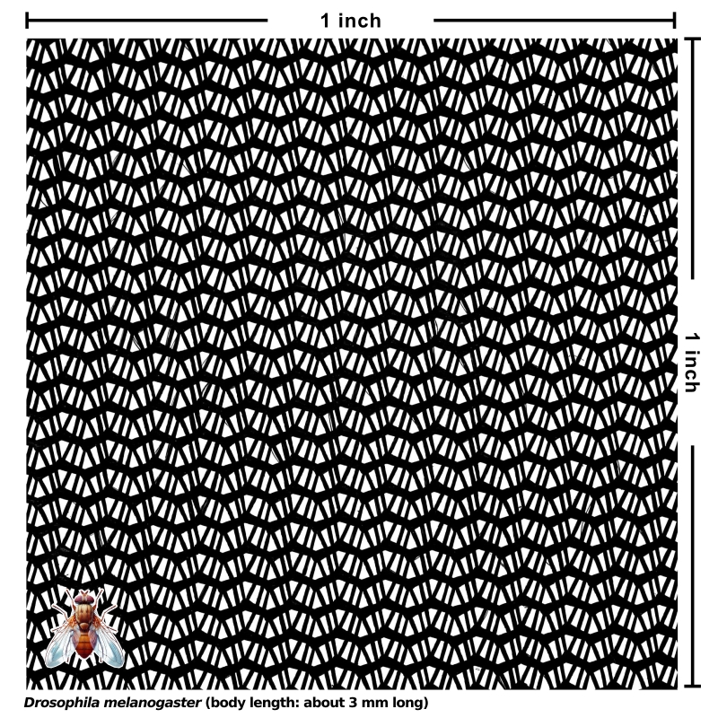 Polyester Netting (black, 96x26 mesh) [4 yards]