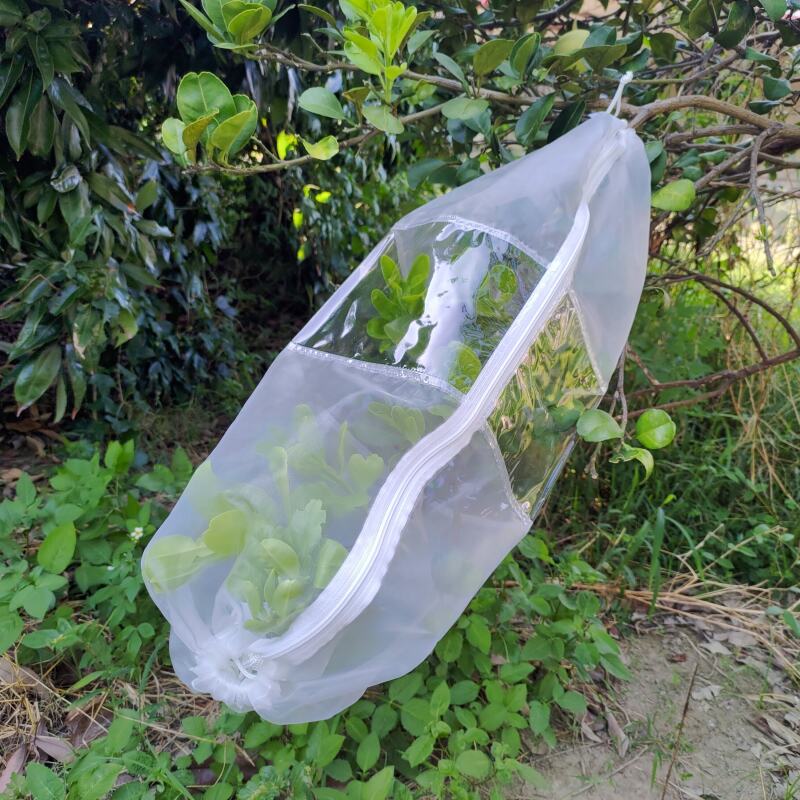 Insect Rearing Sleeve (L70 x W30 cm) [pack of 6]