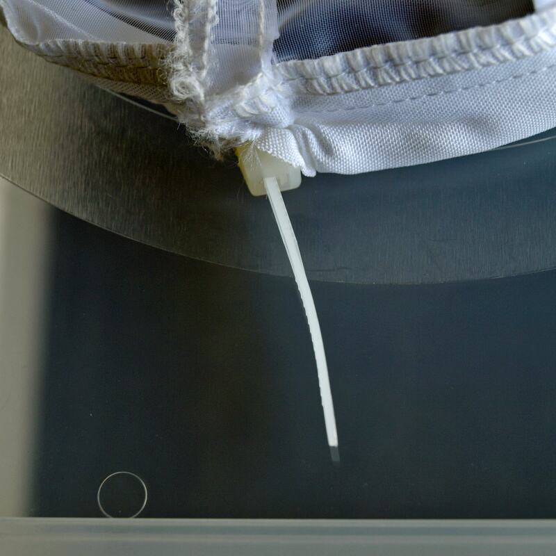 BugDorm1 Insect Rearing Cage BugDorm Store