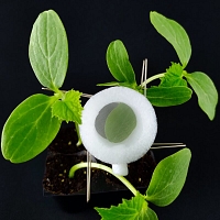 Clip Cage (Small, Ø25/Ø40 mm with Access Hole, lot of 12)