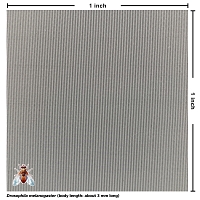 Nylon Netting (white, 300x300 mesh) [4 yards]