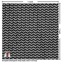 Polyester Netting (black, 96x26 mesh) [4 yards]