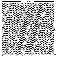 Polyester Netting (white, 96x26 mesh) [4 yards]