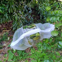 Insect Rearing Sleeve (L40 x W20 cm) [pack of 12]