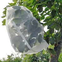 Insect Rearing Bag (L100 x W70 cm) [pack of 6]