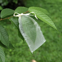 Insect Rearing Bag (L15 x W6 cm)