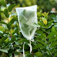 Insect Rearing Bag (L30 x W20 cm) [pack of 24]