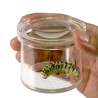 Magnifying Insect Viewer [pack of 12]