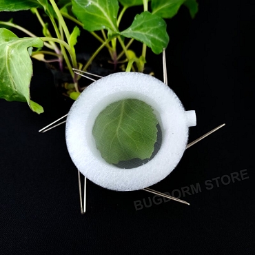 Clip Cage (Large, Ø40/Ø60 mm with Access Hole, lot of 12)