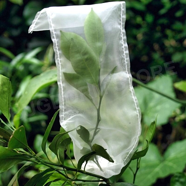 Insect Rearing Bag (L30 x W10 cm) [pack of 30]
