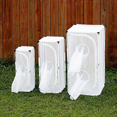 BugDorm-4 Insect Cages | BugDorm Store