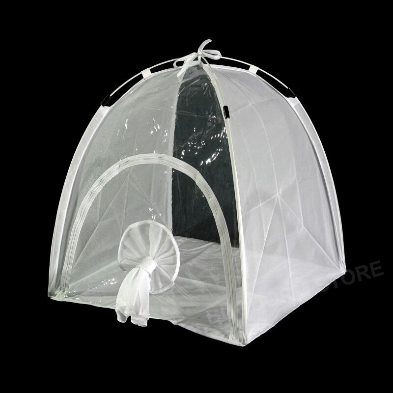 BugDorm-2F120 Insect Rearing Cage