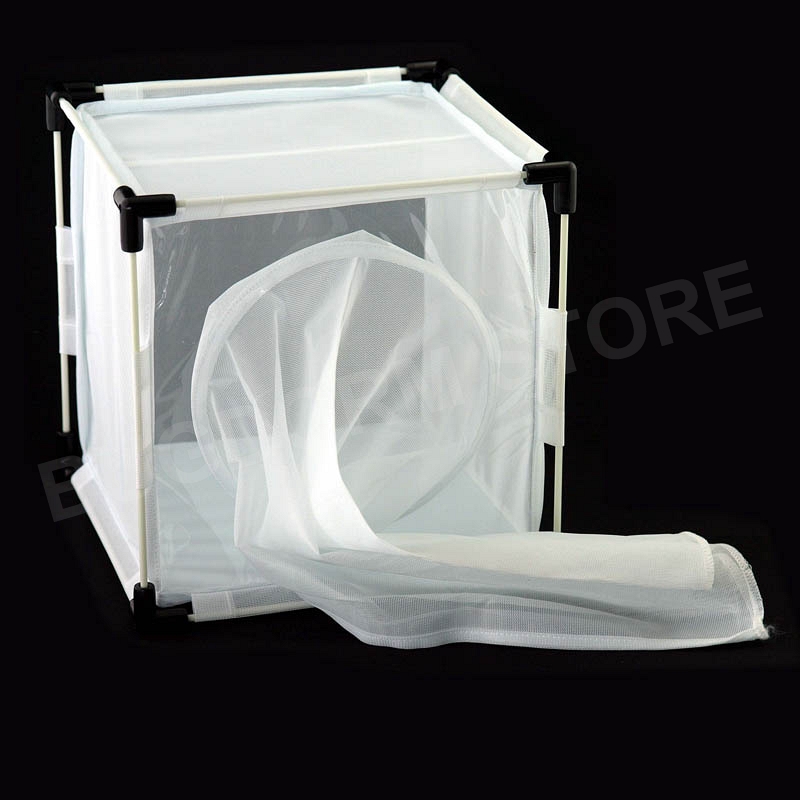 BugDorm-4F2222 Insect Rearing Cage