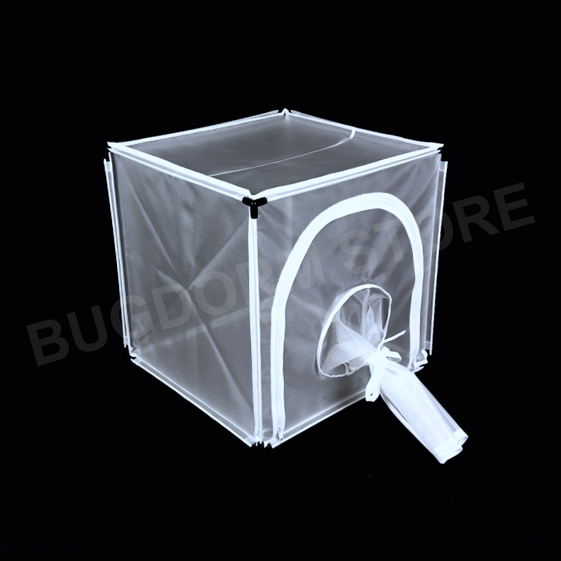 BugDorm-4H4545 Insect Rearing Cage