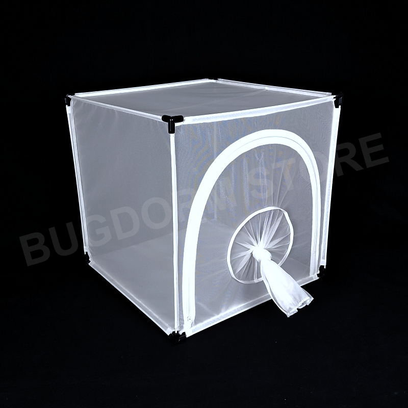 BugDorm-4M4545 Insect Rearing Cage