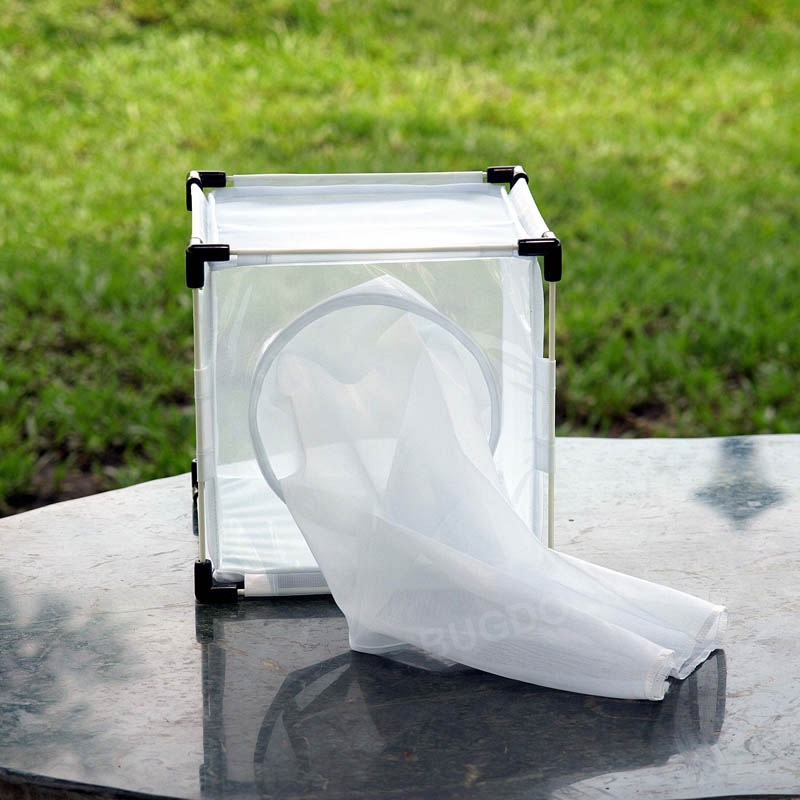 BugDorm-4S2222 Insect Rearing Cage