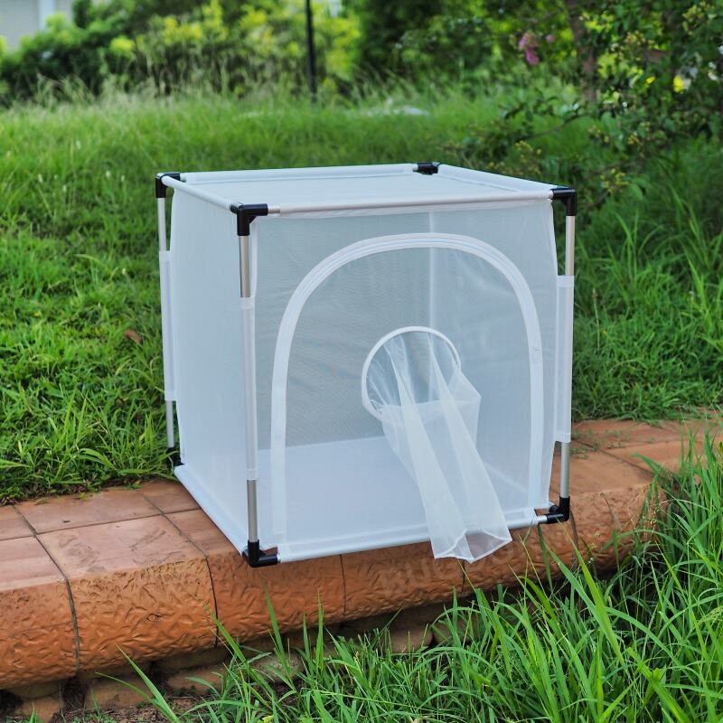 BugDorm-6E610 Insect Rearing Cage