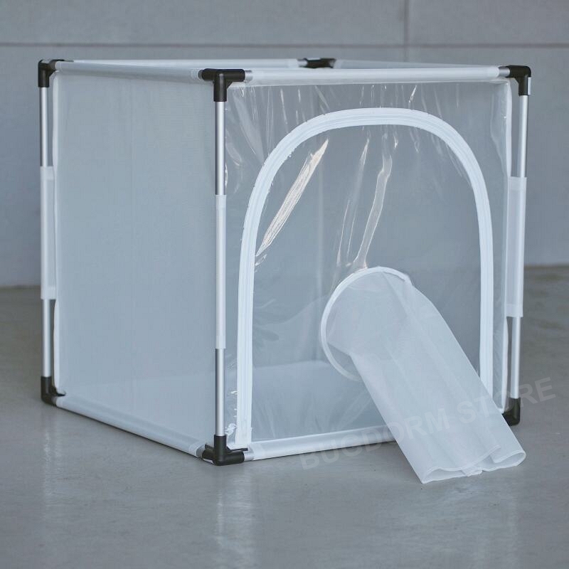 BugDorm-6S610 Insect Rearing Cage