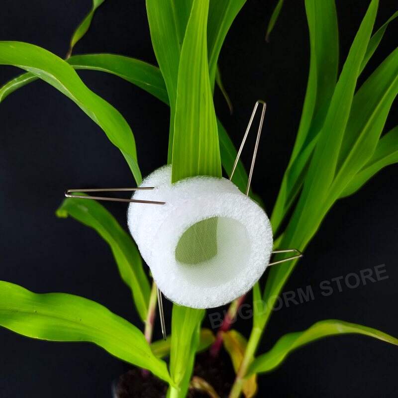 Clip Cage (Small, Ø25/Ø40 mm, lot of 12)