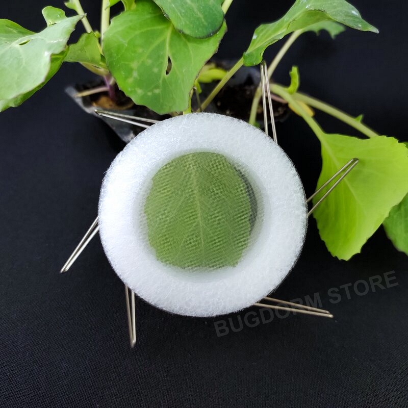 Clip Cage (Large, Ø40/Ø60 mm, lot of 12)