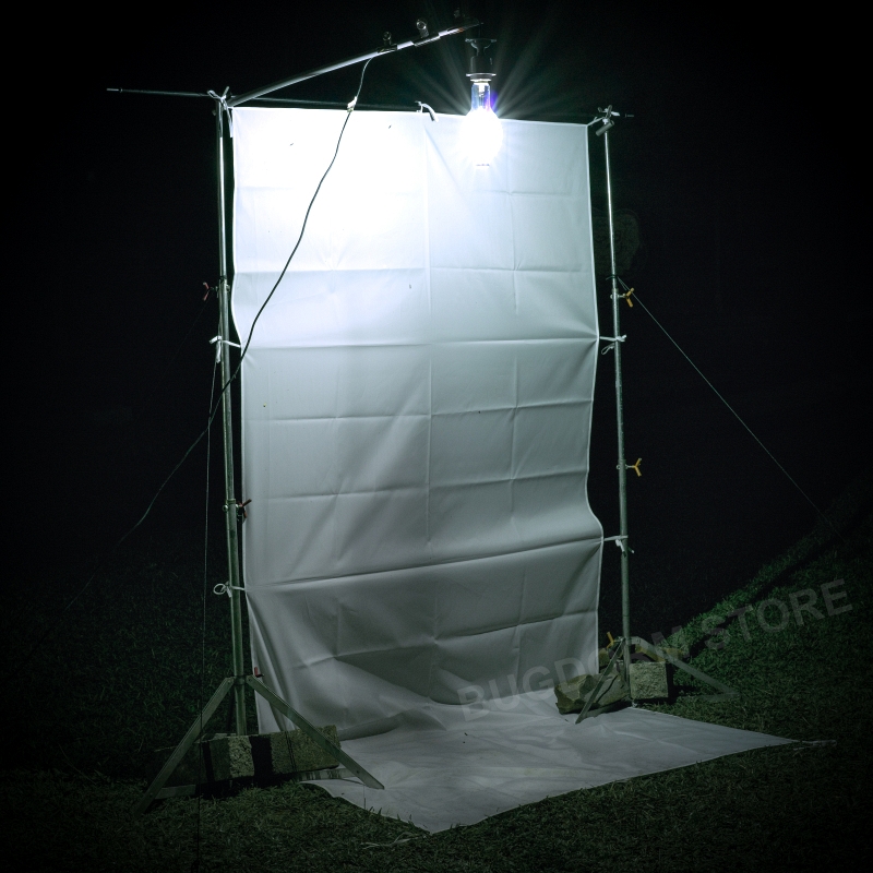 Night Collecting Sheet