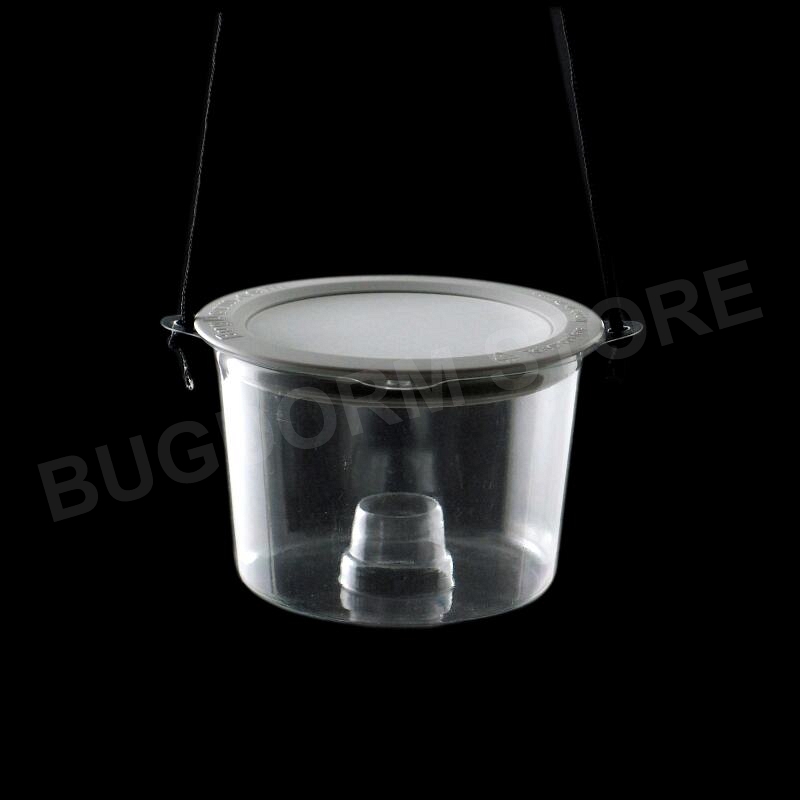 Insect Bait Trap with Nylon Screen Lid [pack of 12]