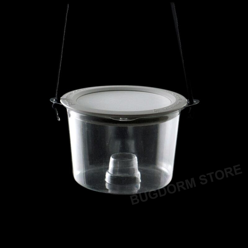 Insect Bait Trap with Wire Screen Lid [pack of 12]