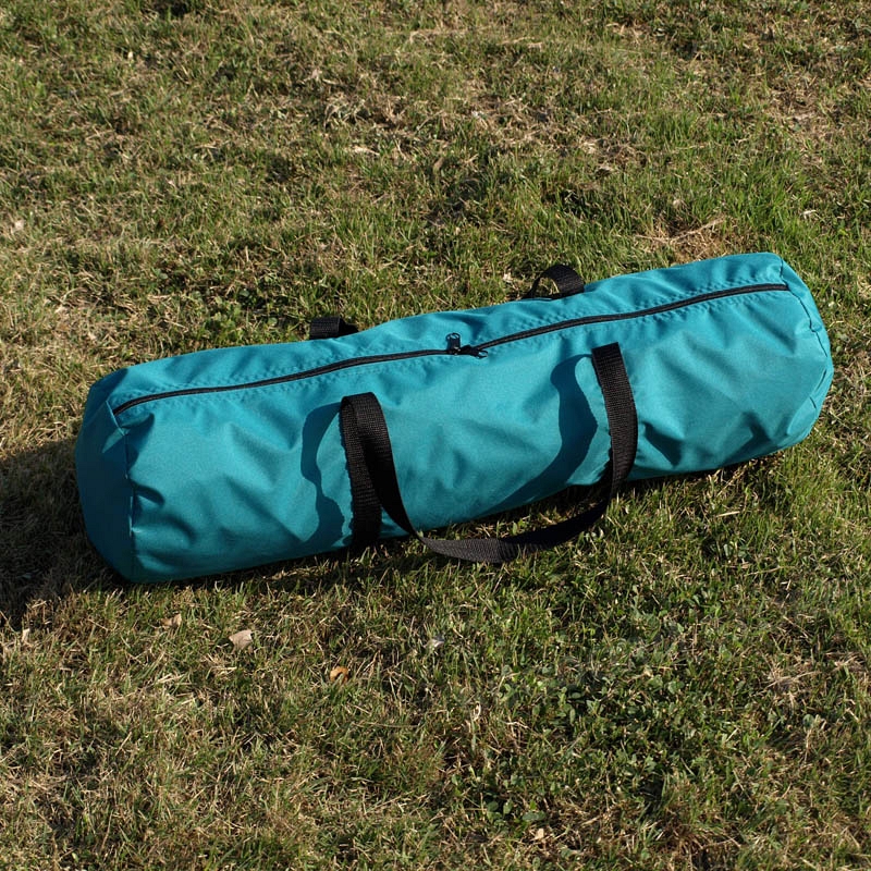 Generic Carrying Bag