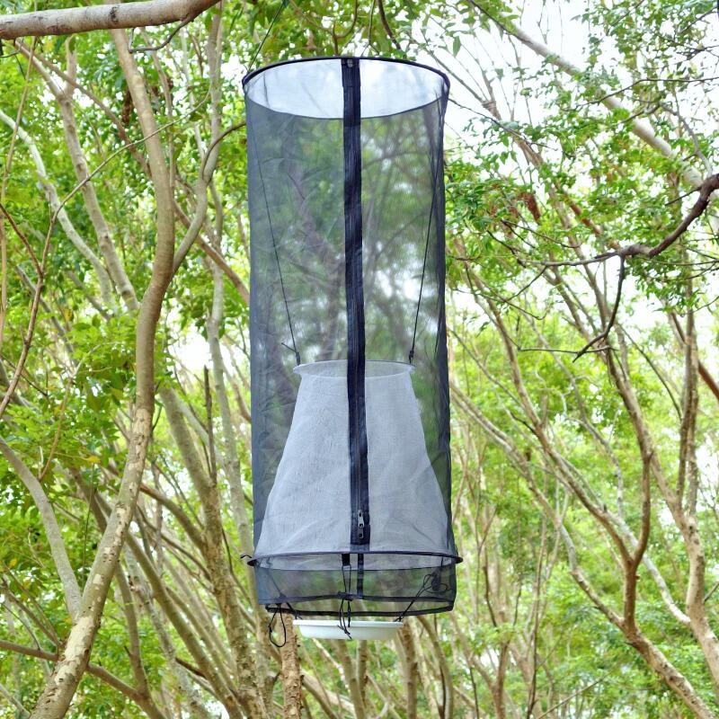 Pop-up Butterfly Bait Trap (cone type, Ø20 cm funnel opening)