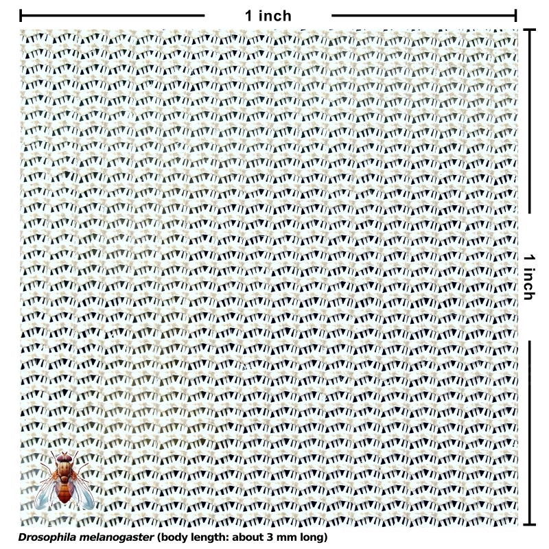 Polyester Netting (white, 108x32 mesh) [4 yards]