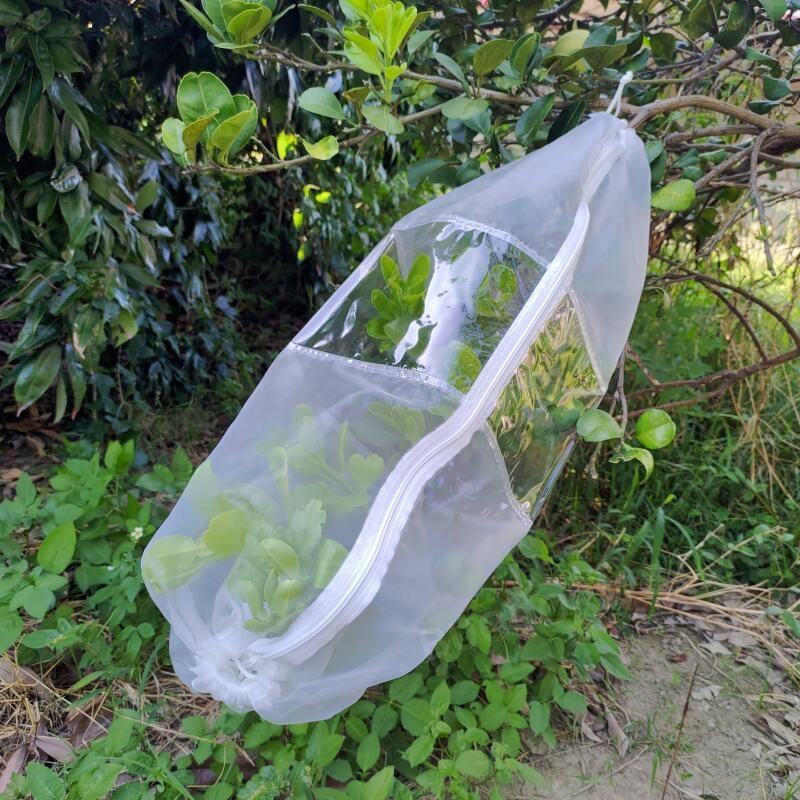 Insect Rearing Sleeve (L70 x W30 cm) [pack of 6]