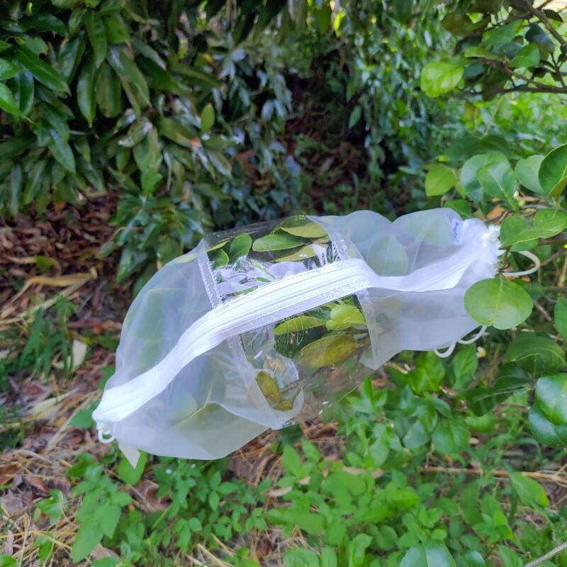 Insect Rearing Sleeve (L40 x W20 cm) [pack of 12]