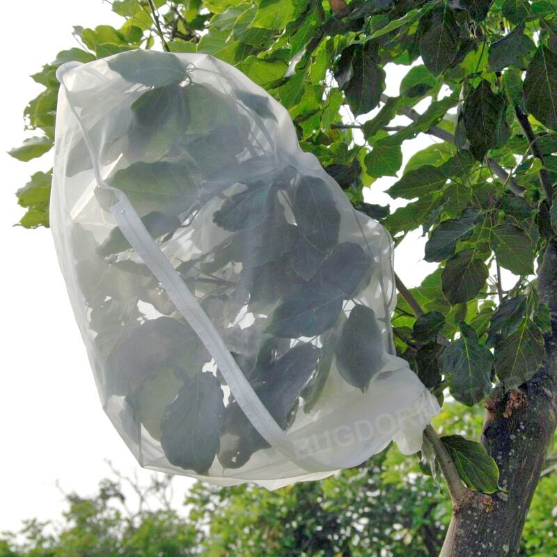 Insect Rearing Bag (L100 x W70 cm) [pack of 6]