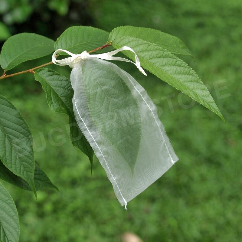 Insect Rearing Bag (L15 x W8 cm) [pack of 36]